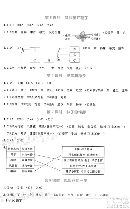 江西教育出版社2022阳光同学课时优化作业四年级科学下册JK教科版答案