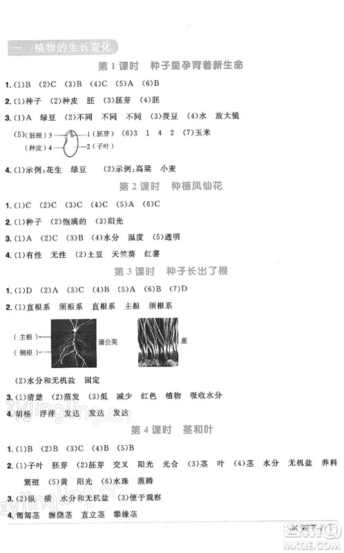 江西教育出版社2022阳光同学课时优化作业四年级科学下册JK教科版答案