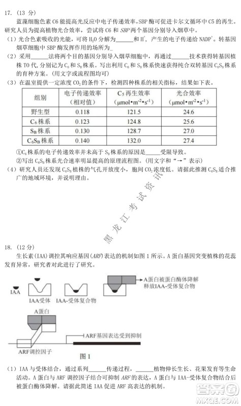 北京市西城区2021-2022学年第一学期期末试卷高三生物试题及答案