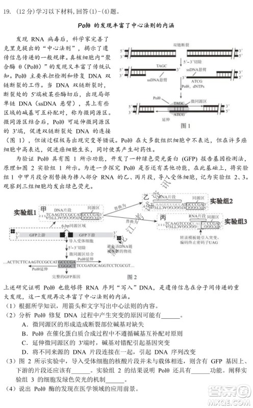 北京市西城区2021-2022学年第一学期期末试卷高三生物试题及答案