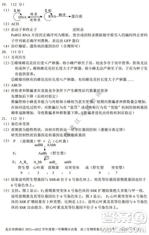 北京市西城区2021-2022学年第一学期期末试卷高三生物试题及答案