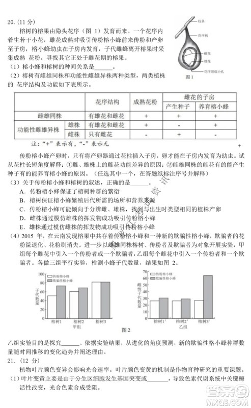 北京市西城区2021-2022学年第一学期期末试卷高三生物试题及答案