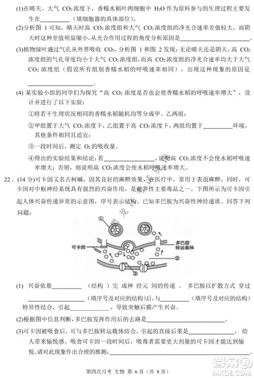 西南大学附属中学校高2022届第四次月考高三生物试题及答案 西南大学附属中学校高2022届第四次月考高三生物试题及答案