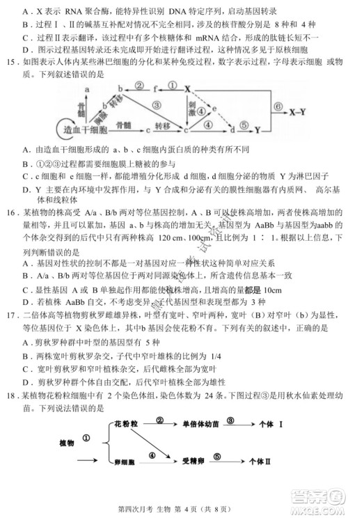 西南大学附属中学校高2022届第四次月考高三生物试题及答案 西南大学附属中学校高2022届第四次月考高三生物试题及答案
