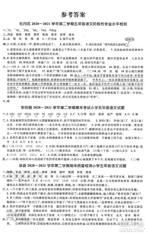 江西教育出版社2022阳光同学课时优化作业五年级语文下册RJ人教版菏泽专版答案