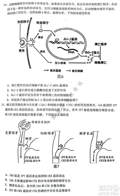 2021-2022学年佛山市普通高中高三教学质量检测一生物学试题及答案