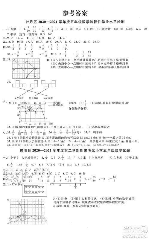 江西教育出版社2022阳光同学课时优化作业五年级数学下册RJ人教版菏泽专版答案