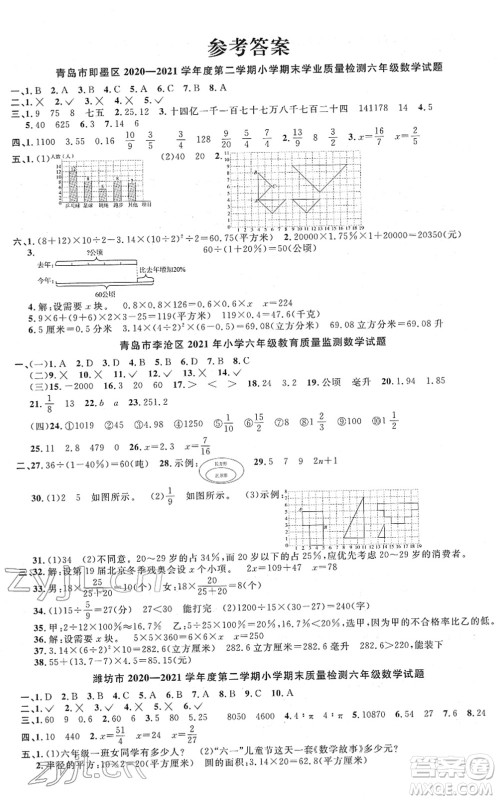 江西教育出版社2022阳光同学课时优化作业六年级数学下册QD青岛版答案