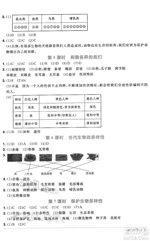 江西教育出版社2022阳光同学课时优化作业六年级科学下册JK教科版答案