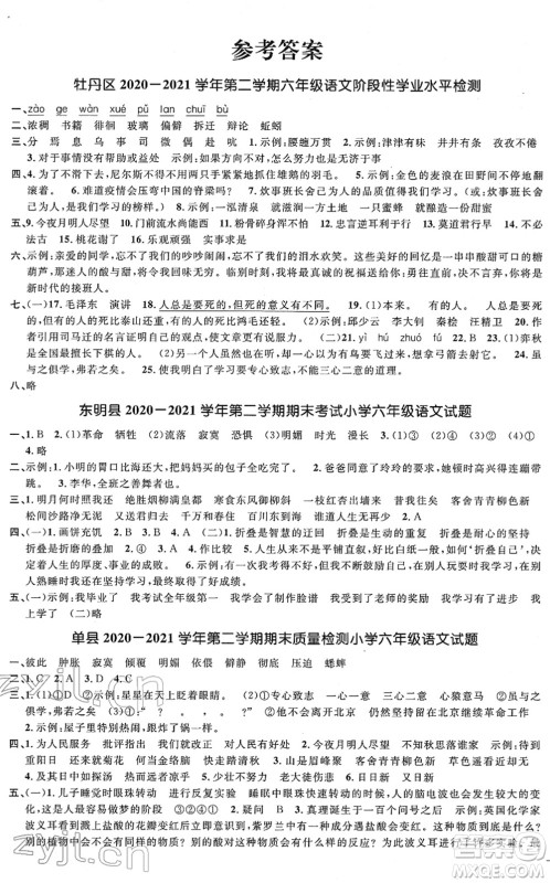 江西教育出版社2022阳光同学课时优化作业六年级语文下册RJ人教版菏泽专版答案