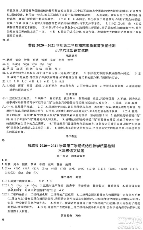 江西教育出版社2022阳光同学课时优化作业六年级语文下册RJ人教版菏泽专版答案