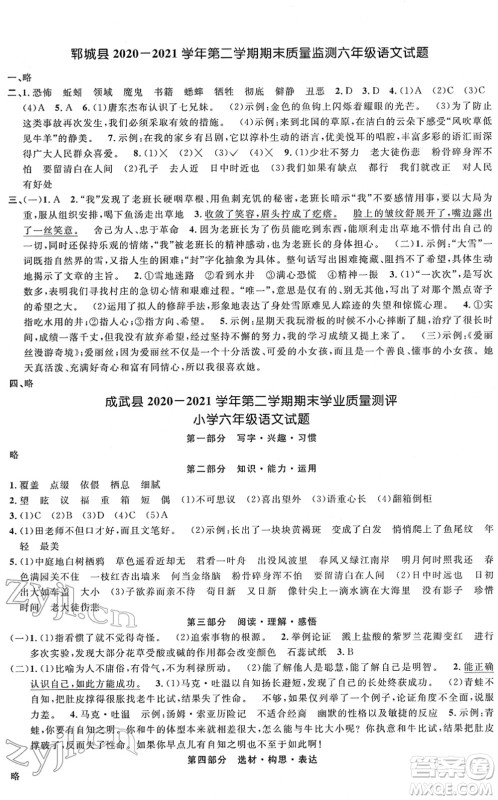 江西教育出版社2022阳光同学课时优化作业六年级语文下册RJ人教版菏泽专版答案