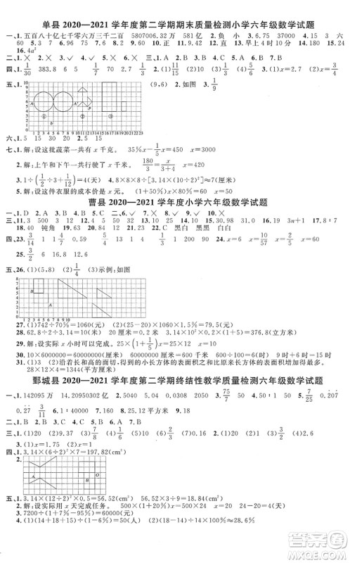 江西教育出版社2022阳光同学课时优化作业六年级数学下册RJ人教版菏泽专版答案