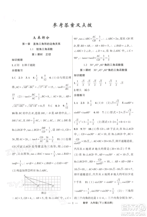 新疆青少年出版社2022原创新课堂九年级数学下册北师大版深圳专版参考答案