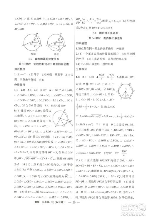 新疆青少年出版社2022原创新课堂九年级数学下册北师大版深圳专版参考答案