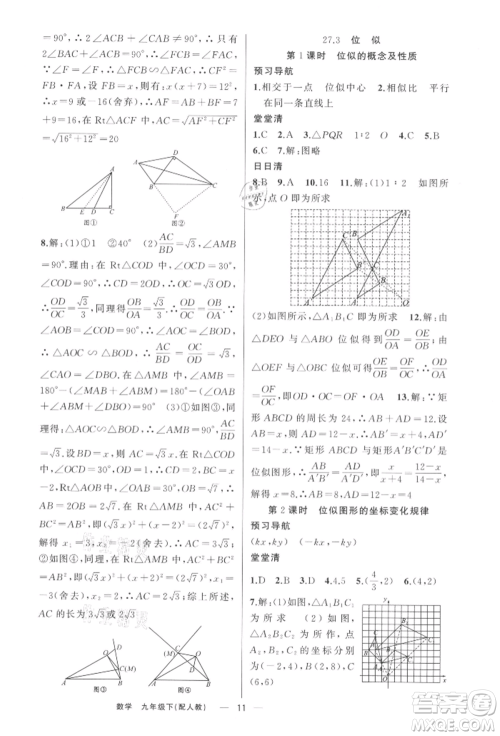 新疆青少年出版社2022四清导航九年级数学下册人教版参考答案