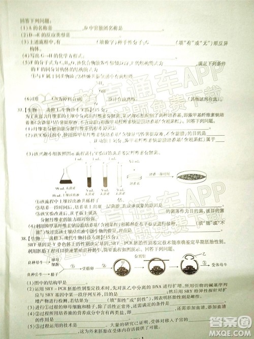 智慧上进2021-2022学年高三一轮复习验收考试理科综合试题及答案