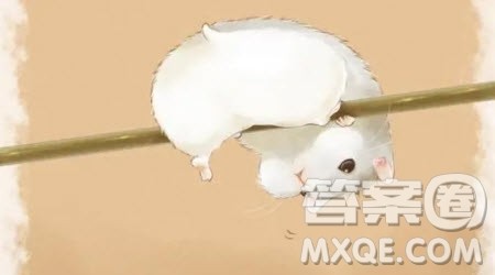 关于鼠的童话小学作文300字 写关于鼠的童话故事作文三年级300字 关于鼠的童话小学作文300字 写关于鼠的童话故事作文三年级300字