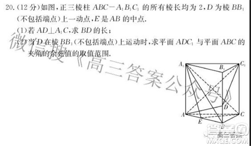 长郡中学2022届高三月考试卷六数学试题及答案