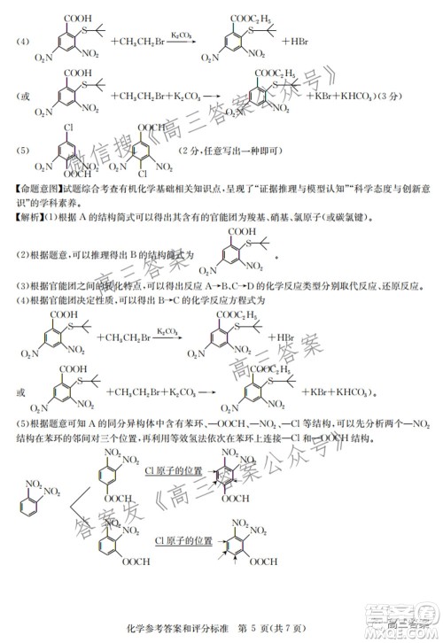 2022届华大新高考联盟高三下学期开学考试收心卷化学试题及答案 2022届华大新高考联盟高三下学期开学考试收心卷化学试题及答案
