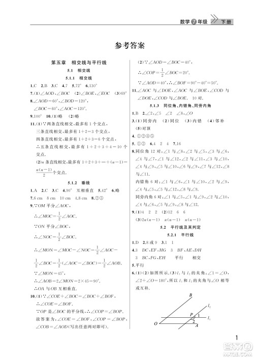 武汉出版社2022智慧学习天天向上课堂作业七年级数学下册人教版答案
