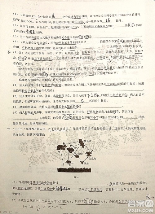巴蜀中学2022届高考适应性月考卷七生物试题及答案 巴蜀中学2022届高考适应性月考卷七生物试题及答案