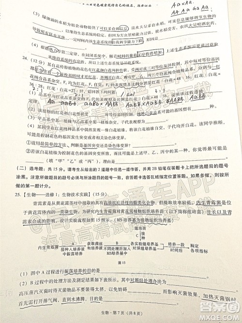 巴蜀中学2022届高考适应性月考卷七生物试题及答案 巴蜀中学2022届高考适应性月考卷七生物试题及答案