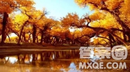 关于进化的思考小学作文400字 对进化的思考的小学作文400字 关于进化的思考小学作文400字 对进化的思考的小学作文400字