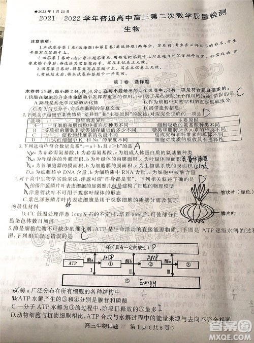 河南信阳2021-2022学年普通高中高三第二次教学质量检测生物试题及答案