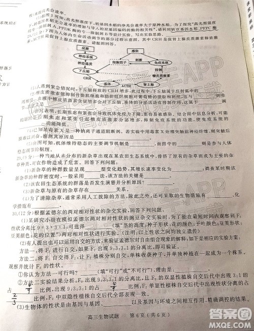 河南信阳2021-2022学年普通高中高三第二次教学质量检测生物试题及答案