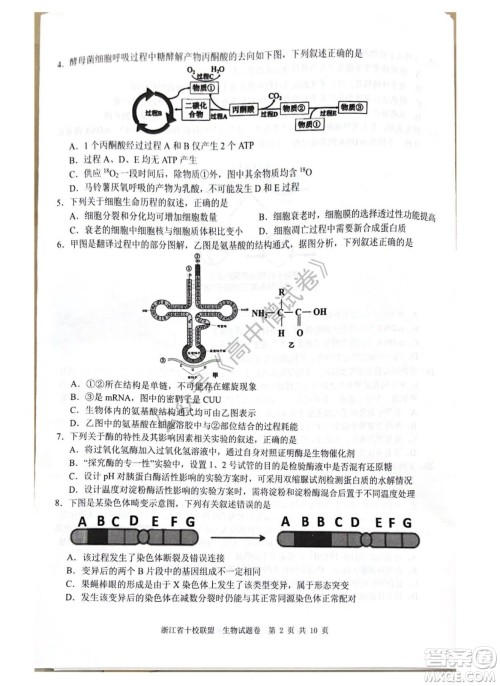 浙江省十校联盟2022届高三第二次联考生物试题及答案