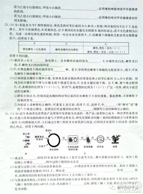 2022年湖北省新高考联考协作体高三新高考2月质量检测生物试题及答案 2022年湖北省新高考联考协作体高三新高考2月质量检测生物试题及答案