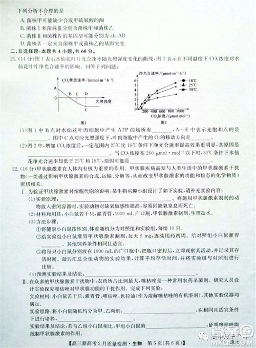 2022年湖北省新高考联考协作体高三新高考2月质量检测生物试题及答案