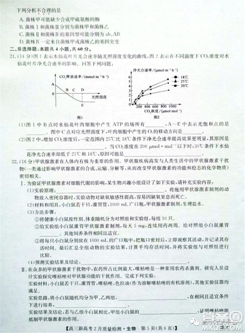 2022年湖北省新高考联考协作体高三新高考2月质量检测生物试题及答案