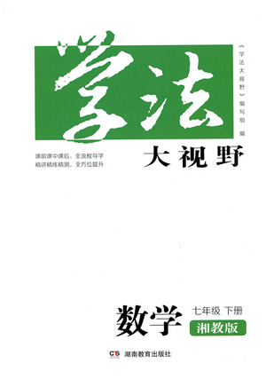 湖南教育出版社2022学法大视野七年级数学下册湘教版答案