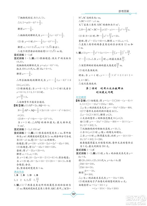 湖南教育出版社2022学法大视野九年级数学下册湘教版答案