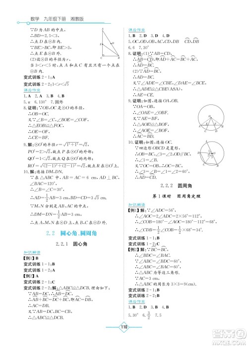 湖南教育出版社2022学法大视野九年级数学下册湘教版答案