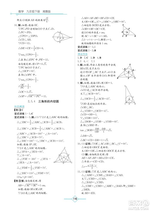 湖南教育出版社2022学法大视野九年级数学下册湘教版答案