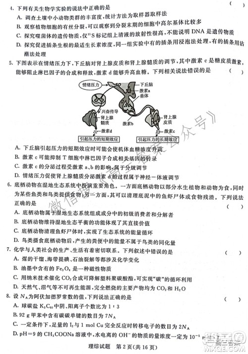 2022届普通高等学校招生全国统一考试青桐鸣2月大联考理科综合试题及答案