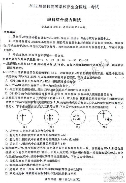 2022届普通高等学校招生全国统一考试青桐鸣2月大联考理科综合试题及答案