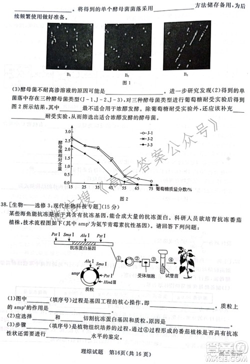 2022届普通高等学校招生全国统一考试青桐鸣2月大联考理科综合试题及答案