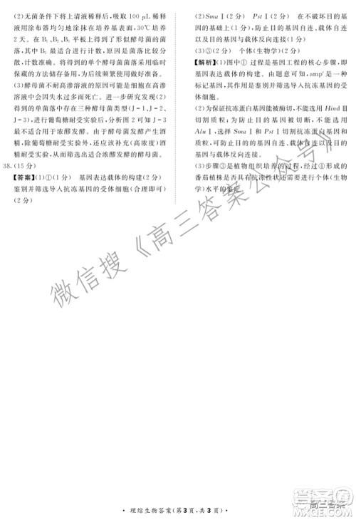 2022届普通高等学校招生全国统一考试青桐鸣2月大联考理科综合试题及答案