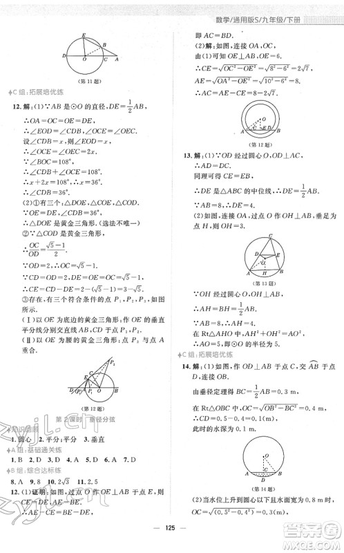 安徽教育出版社2022新编基础训练九年级数学下册通用版S答案