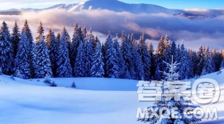 冬天的礼物五年级作文400字 关于冬天的礼物的五年级作文400字 冬天的礼物五年级作文400字 关于冬天的礼物的五年级作文400字