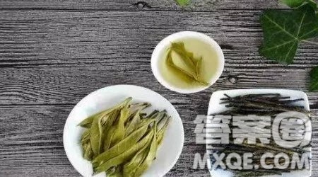 以春饼为题的作文600字 关于春饼的作文600字 以春饼为题的作文600字 关于春饼的作文600字