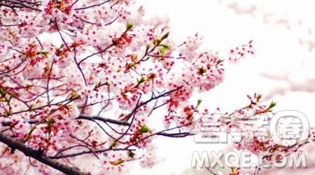 那里有____为题作文600字 以那里有____为题的作文600字