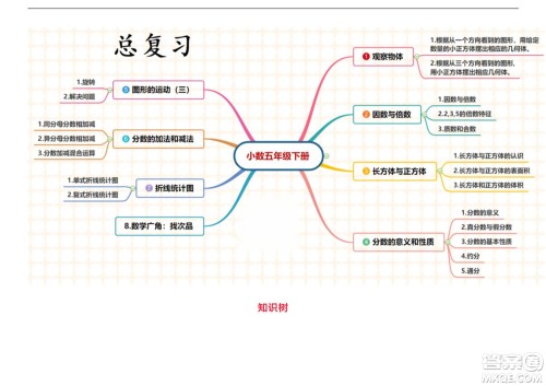 2022五年级下册数学人教版思维导图