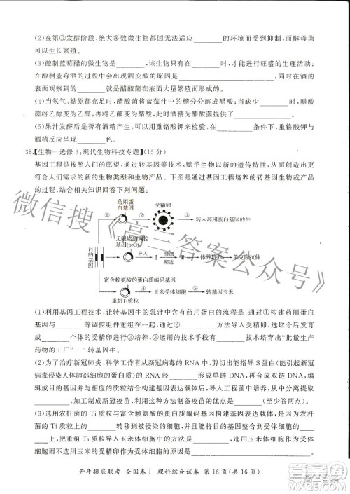 百师联盟2022届高三开年摸底联考全国卷1理科综合试题及答案