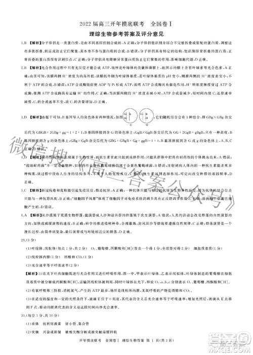 百师联盟2022届高三开年摸底联考全国卷1理科综合试题及答案 百师联盟2022届高三开年摸底联考全国卷1理科综合试题及答案