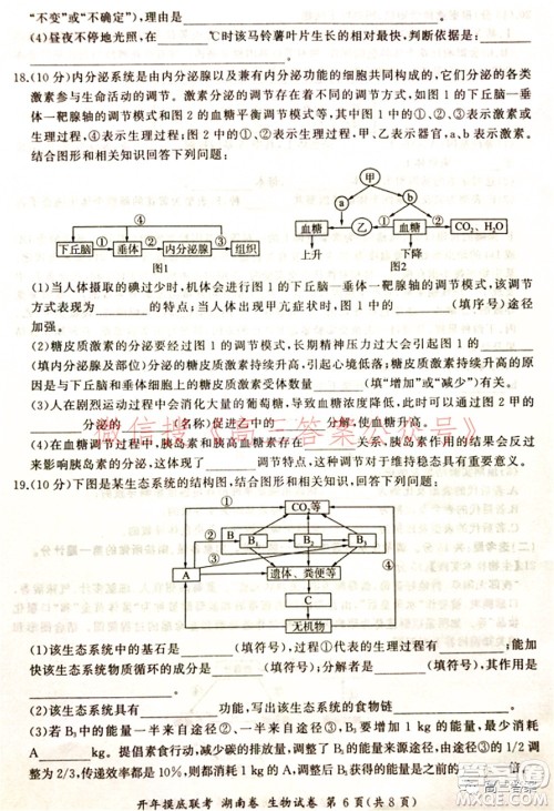 百师联盟2022届高三开年摸底联考湖南卷生物试题及答案 百师联盟2022届高三开年摸底联考湖南卷生物试题及答案